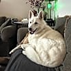 Thumbnail photo of Yeti #1
