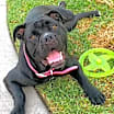 Thumbnail photo of Pretty Frida #1