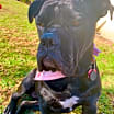 Thumbnail photo of Pretty Frida #2