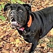 Thumbnail photo of Pretty Frida #3