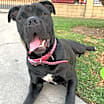 Thumbnail photo of Pretty Frida #4
