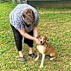 Thumbnail photo of Fido #2