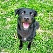 Thumbnail photo of Reggie #2