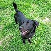 Thumbnail photo of Reggie #4