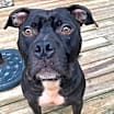 Thumbnail photo of Neville #4