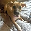 Thumbnail photo of Evie #3