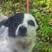 Thumbnail photo of Jack #1
