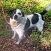 Thumbnail photo of Jack #2