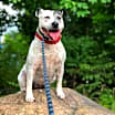 Thumbnail photo of Hilda #1
