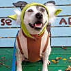 Thumbnail photo of Hilda #2