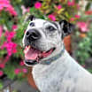 Thumbnail photo of Hilda #4
