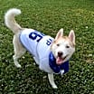 Thumbnail photo of Tucker2 #3