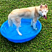 Thumbnail photo of Tucker2 #4