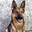 Thumbnail photo of Nova #1