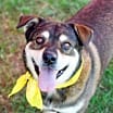 Thumbnail photo of JENNY #1
