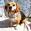 Thumbnail photo of Louie-He's got a sponsor! #2
