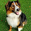 Thumbnail photo of Zoeie #1