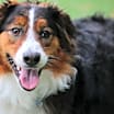 Thumbnail photo of Zoeie #2