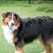 Thumbnail photo of Zoeie #4