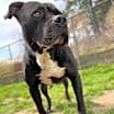Thumbnail photo of Atlas #2