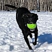 Thumbnail photo of Becky - in New England #1