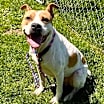 Thumbnail photo of Wally #1