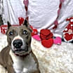 Thumbnail photo of Ricky #2