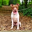 Thumbnail photo of Mason #1