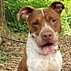 Thumbnail photo of Mason #2