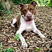 Thumbnail photo of Mason #3