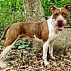 Thumbnail photo of Mason #4