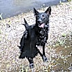 Thumbnail photo of Vader #1