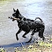 Thumbnail photo of Vader #3
