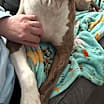 Thumbnail photo of Ricky #3
