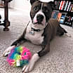 Thumbnail photo of Jamison #1