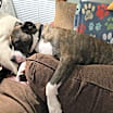 Thumbnail photo of Jamison #3