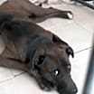 Thumbnail photo of Renata #2