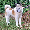 Thumbnail photo of Grace #1