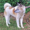 Thumbnail photo of Grace #2