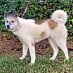 Thumbnail photo of Grace #3