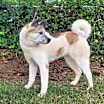 Thumbnail photo of Grace #4