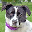 Thumbnail photo of Ella #1