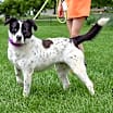 Thumbnail photo of Ella #2