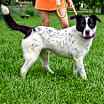Thumbnail photo of Ella #4