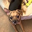 Thumbnail photo of Buster #4