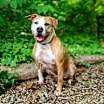 Thumbnail photo of Emma #3