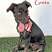 Thumbnail photo of Greta #1