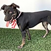 Thumbnail photo of Greta #2