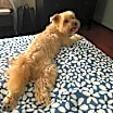 Thumbnail photo of Lucí #3