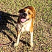 Thumbnail photo of Reagan #1